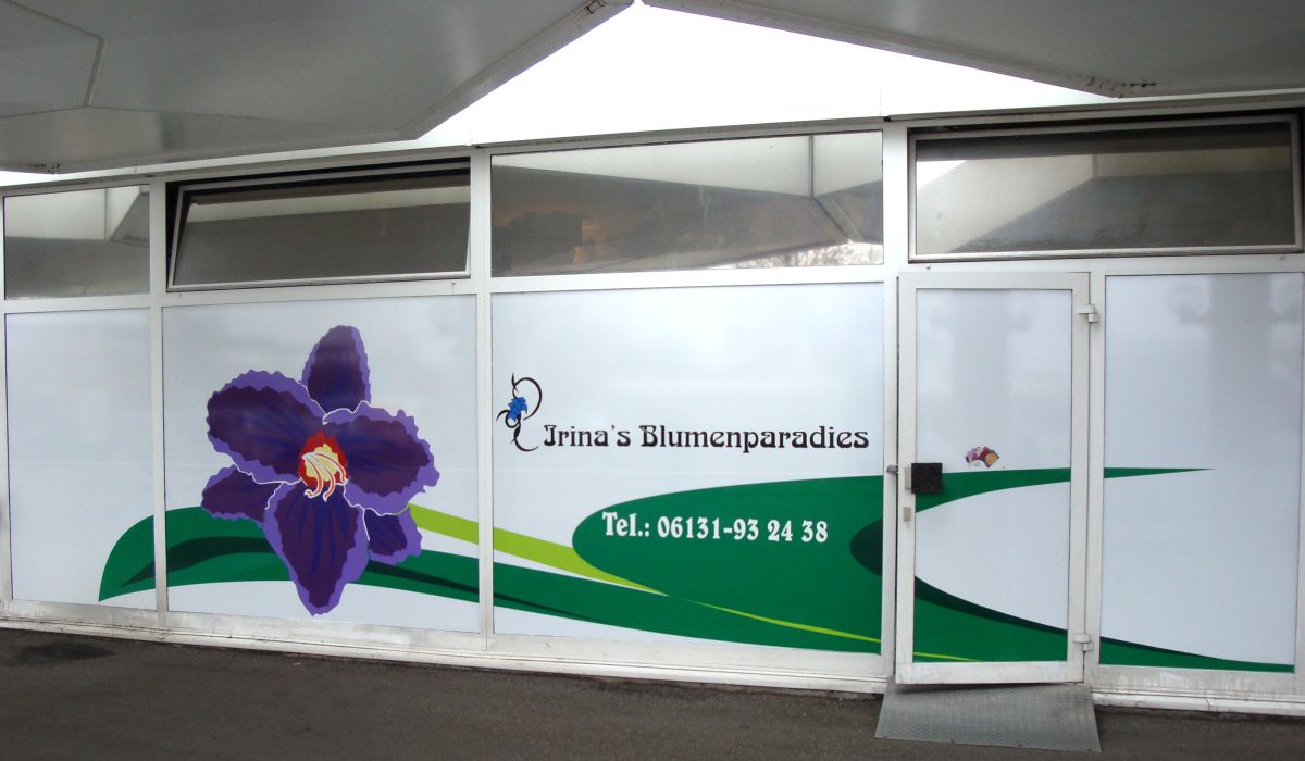 Schaufensterbeschriftung mit geplotteteter Hochleistungsfolie